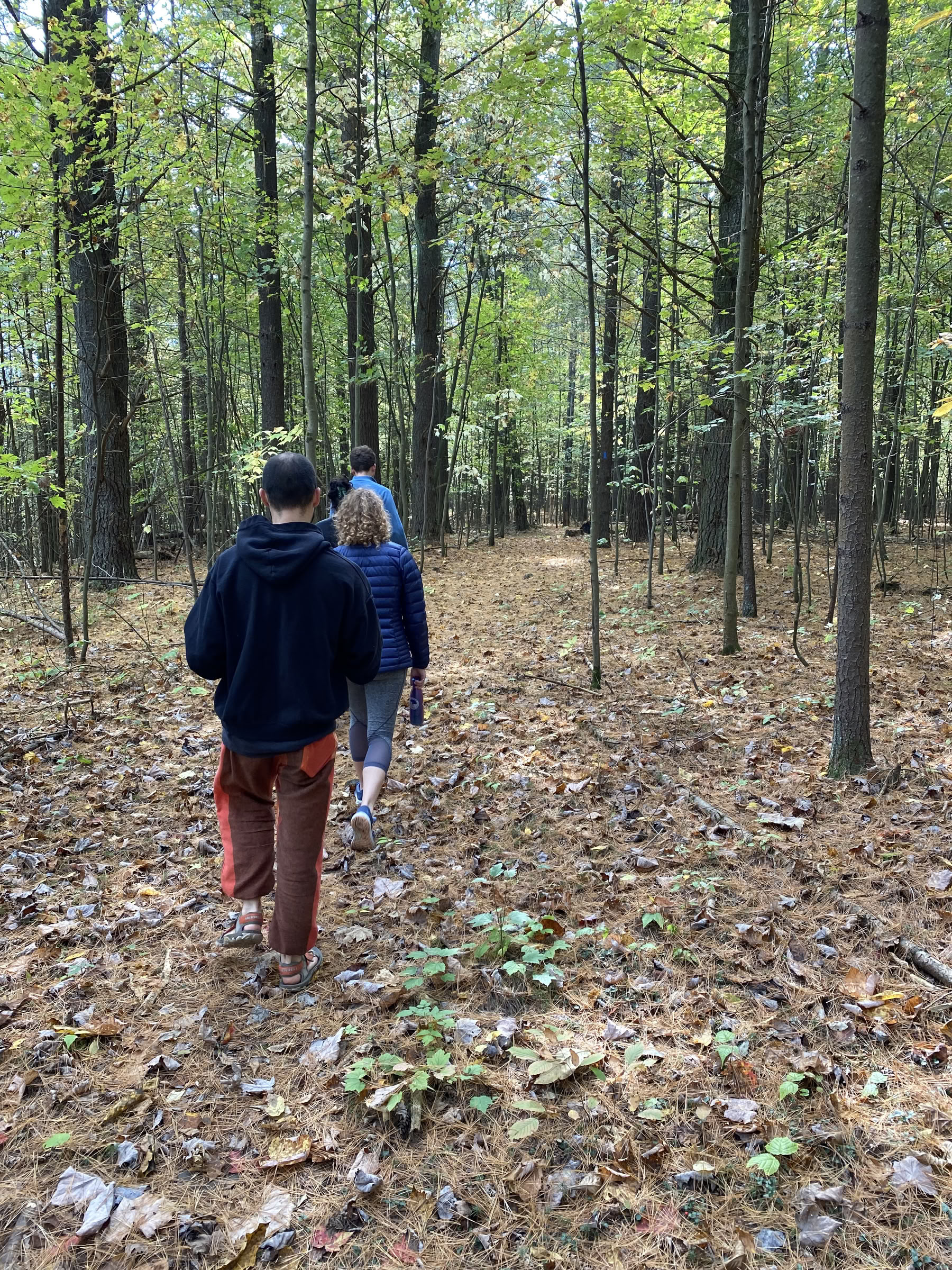 Sages Retreat - 16.–18. Oktober 2026