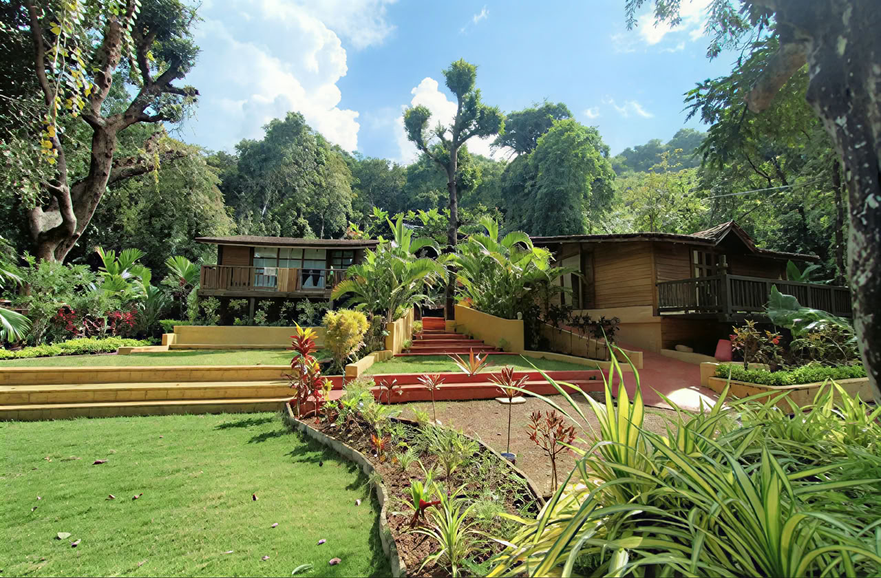 Grundkurs in Ayurveda