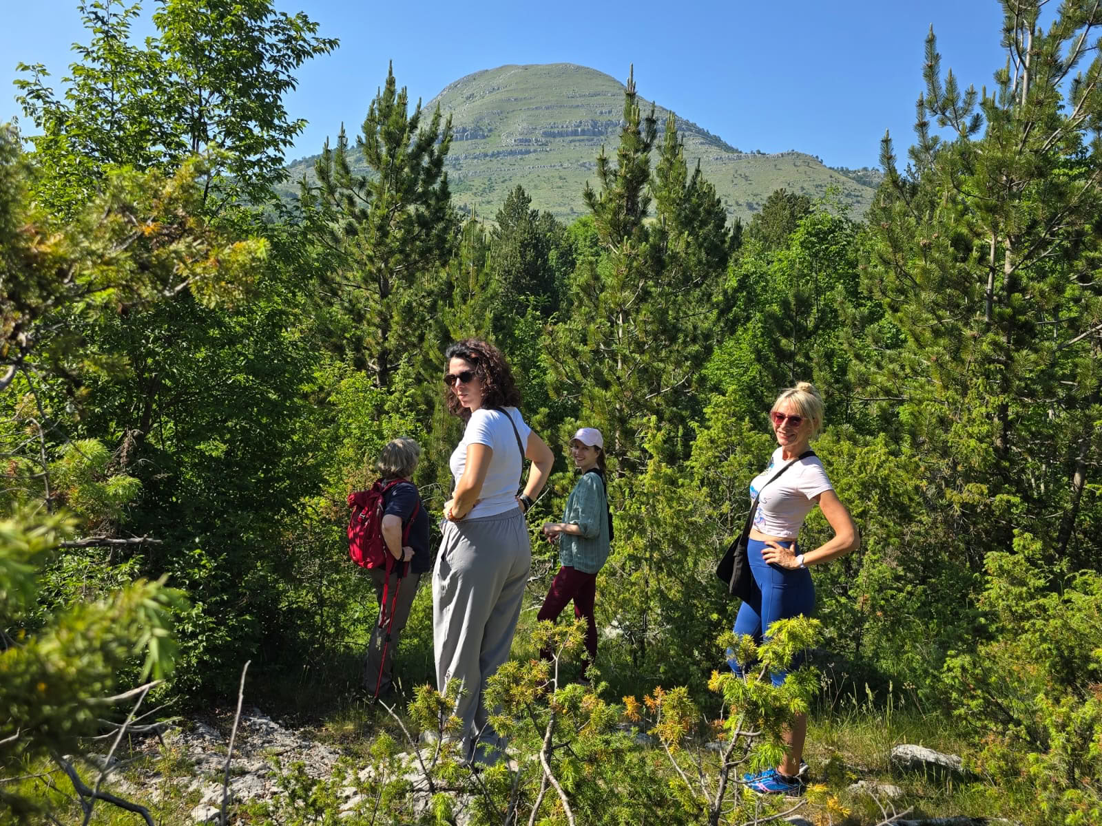Razma Mountain Wellness-Retreat