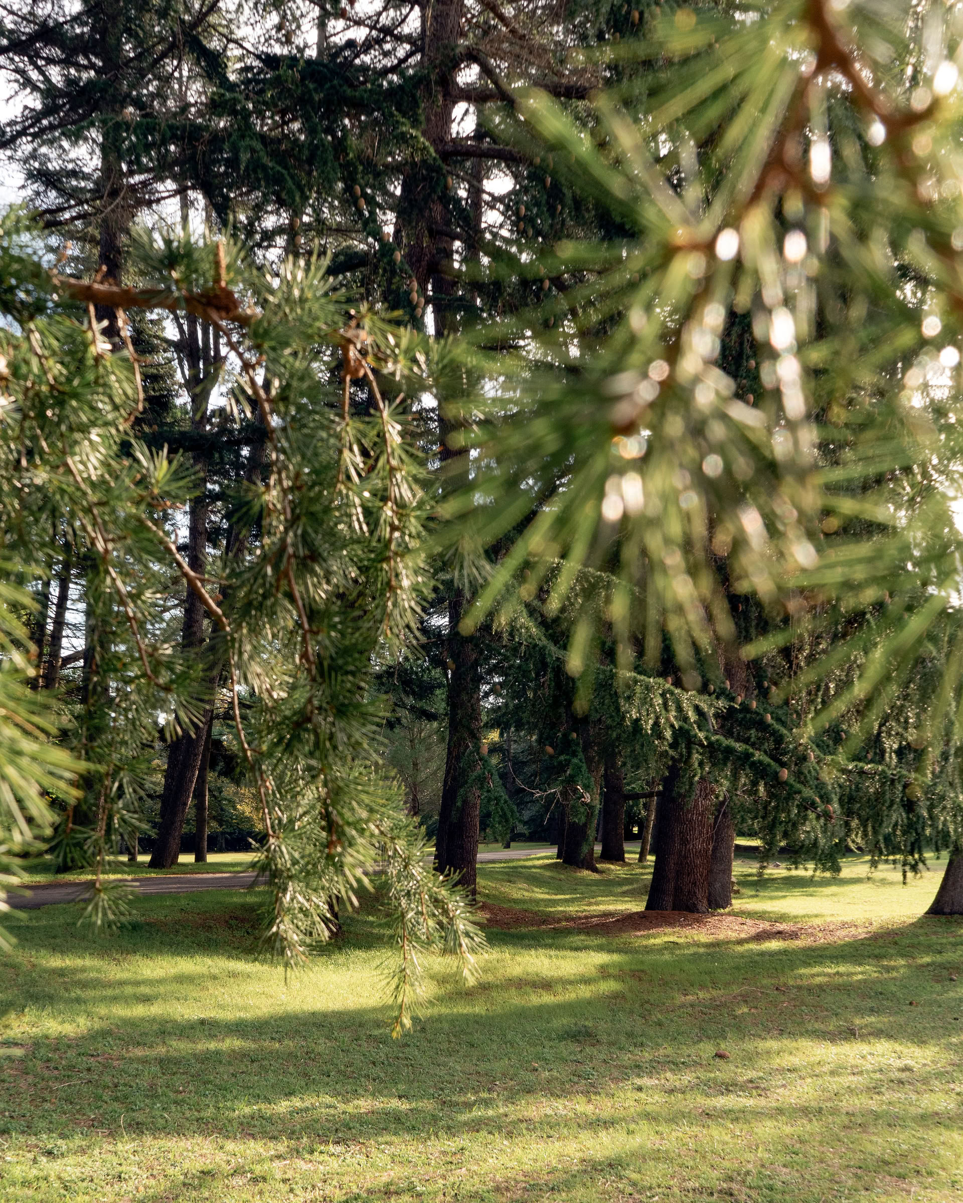 Retreat Vitalität