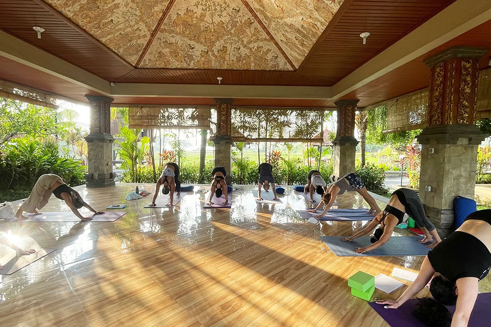 200-Stunden-Ashtanga-Vinyasa-Yoga-Lehrertraining Bali