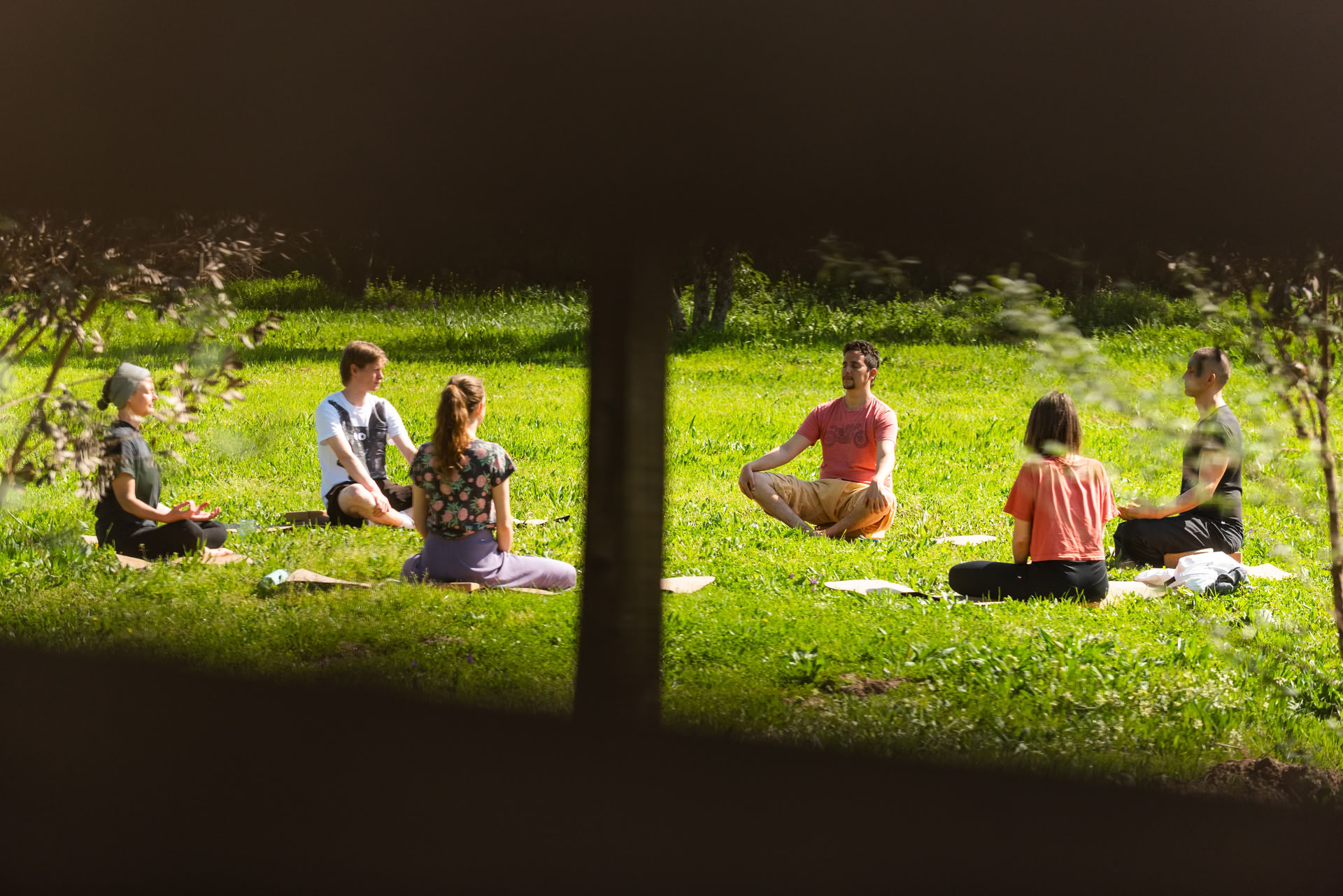 Wild & Well: Retreat für Kraft und Flexibilität