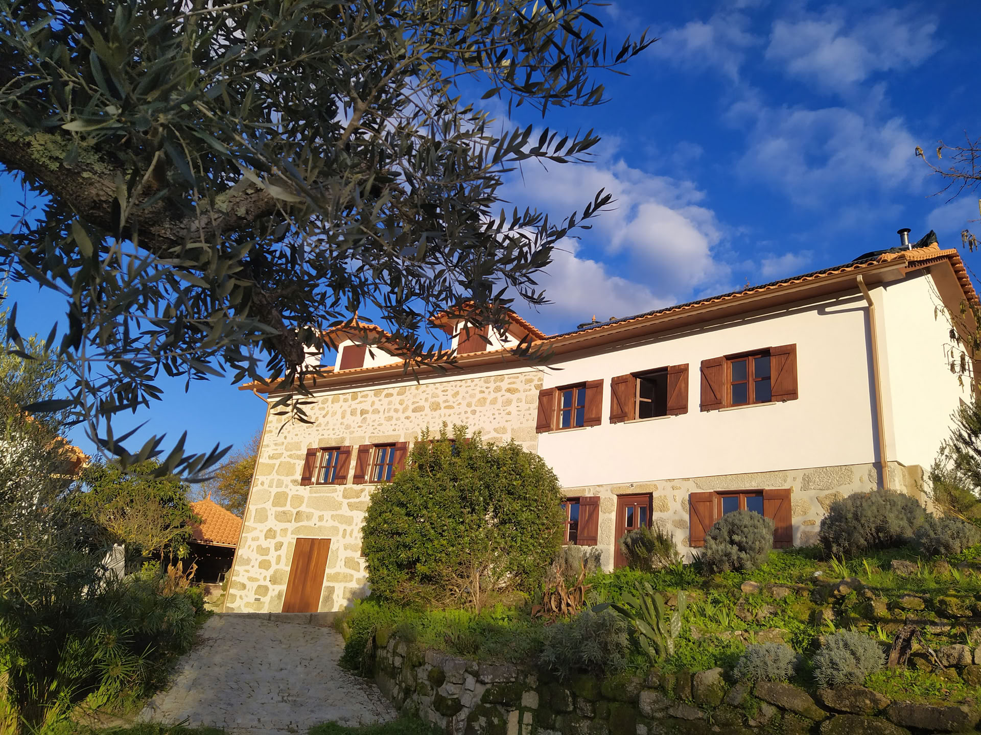 Wild & Well: Retreat für Kraft und Flexibilität