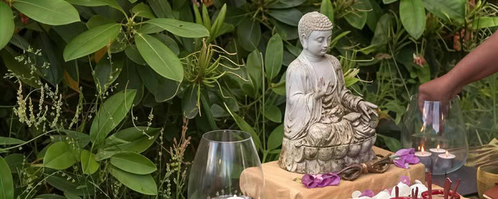 Qigong und Meditation
