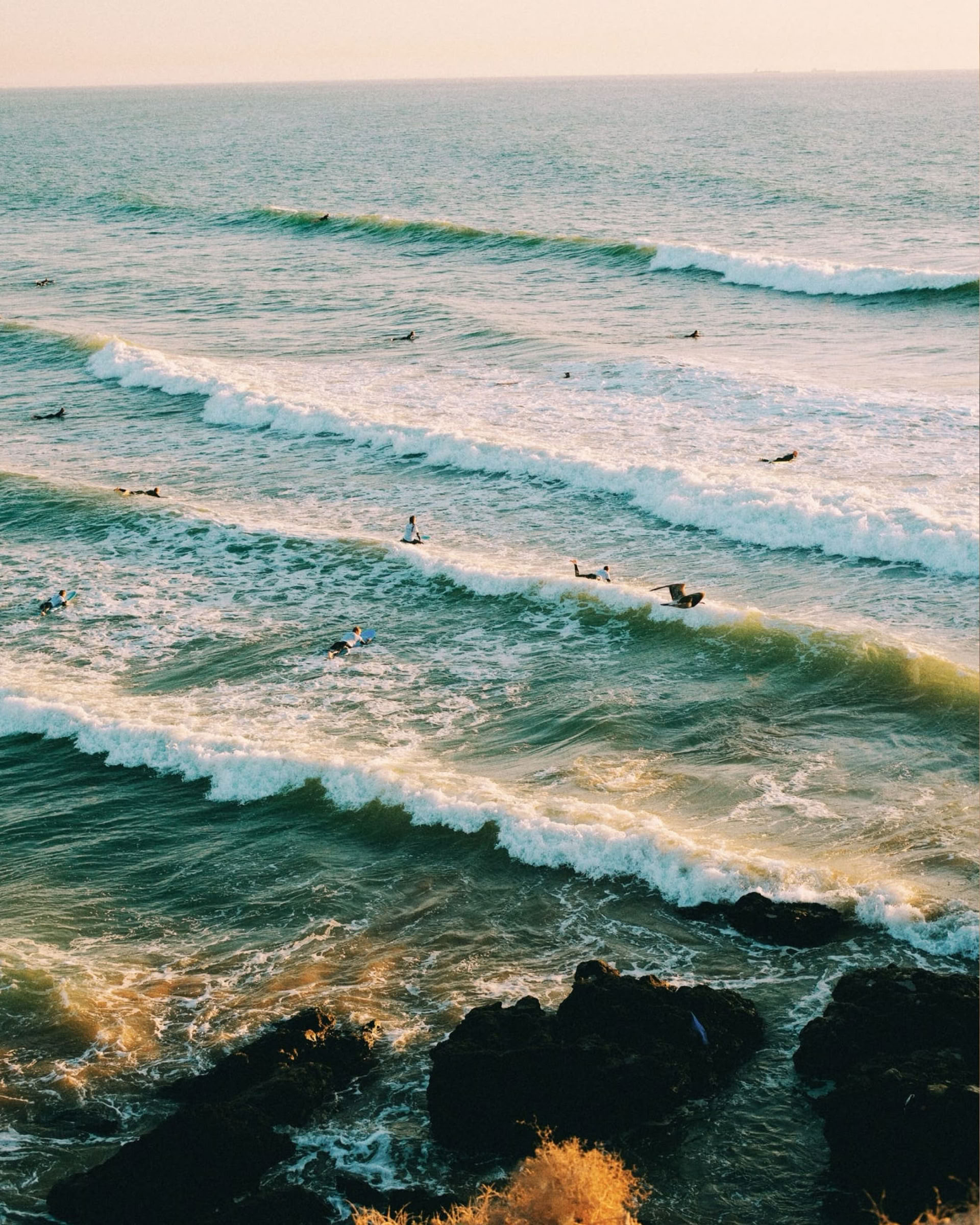 Arbeiten, Surfen & Bleiben