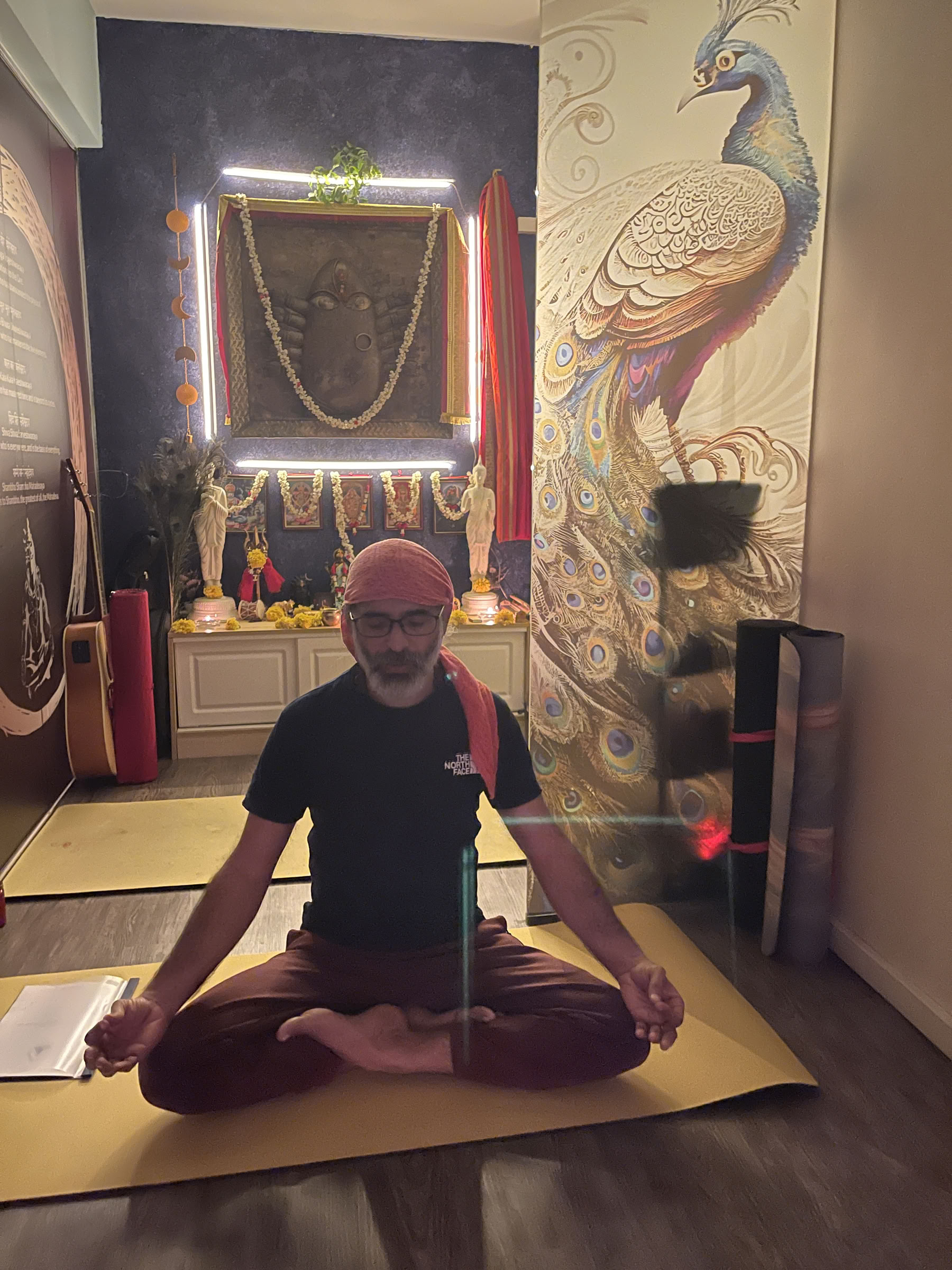 Yoga-Workshop für Verdauungsgesundheit und Stoffwechsel in Singapur