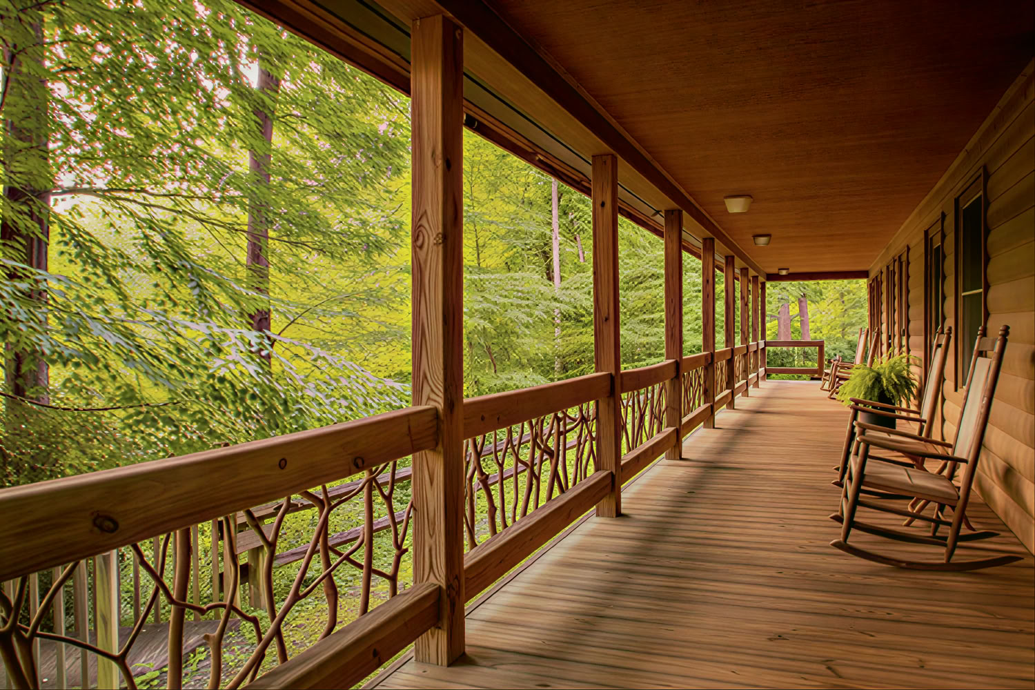Yoga- und Wander-Retreat am Mt. Mitchell
