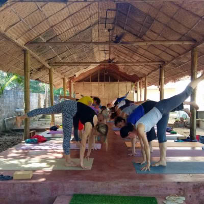 21-tägiger Zen-Yoga-Kurs – Harmonie von Geist, Körper und Seele