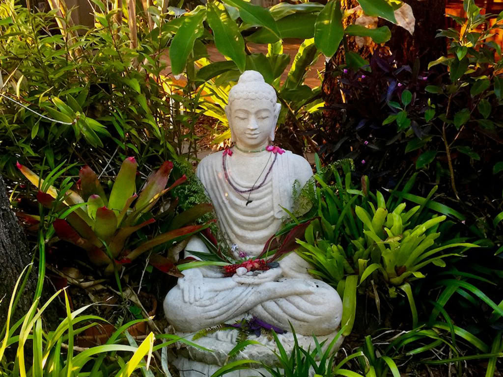 Strahlendes Yoga-Retreat