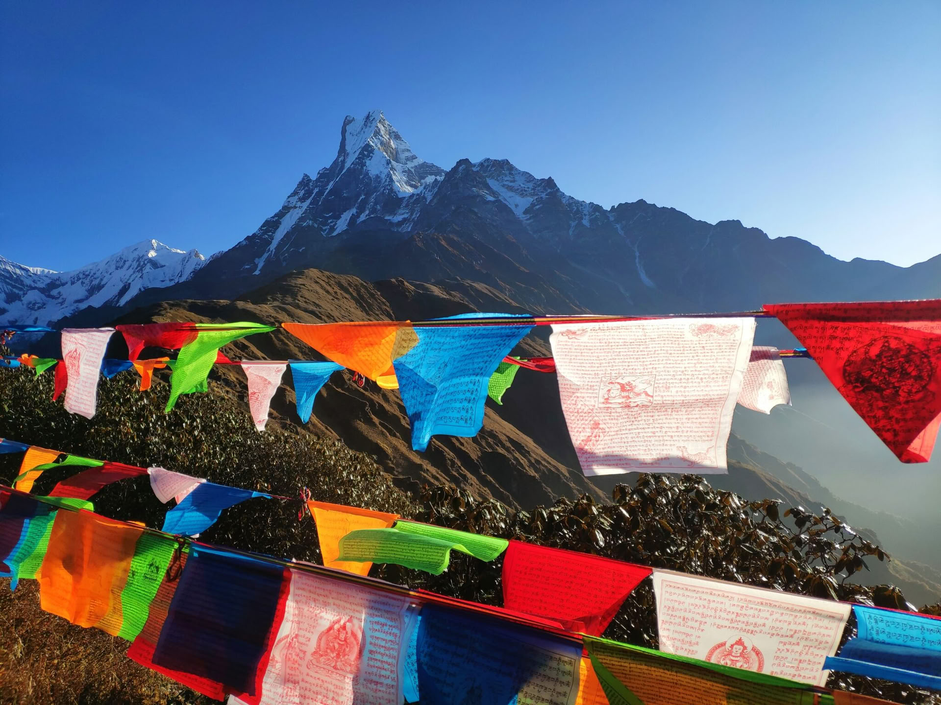 200-Stunden-Yogalehrerausbildung in Indien
