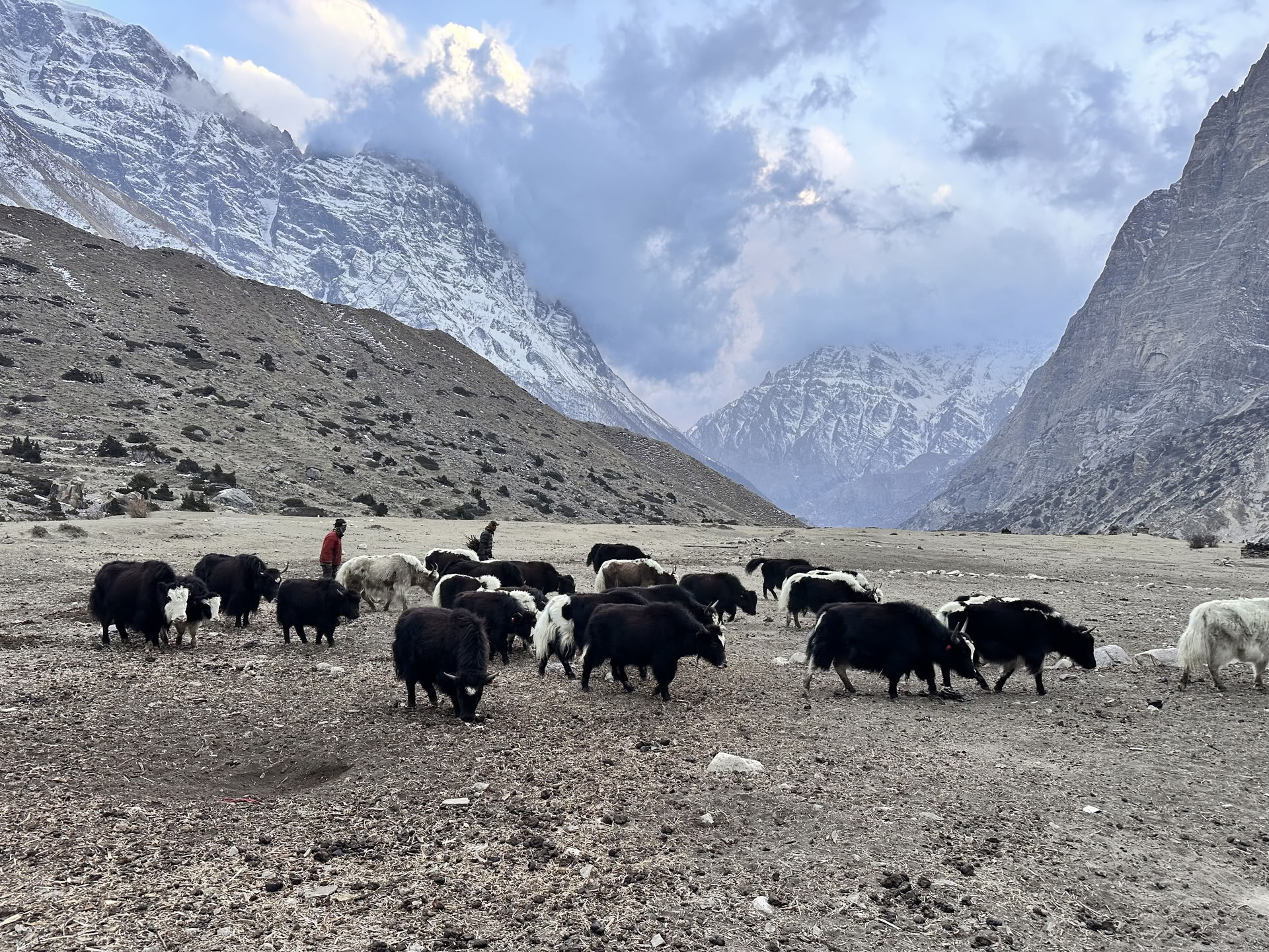 Yoga-Trekking auf dem Annapurna Circuit mit dem Tilicho-See