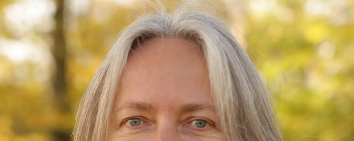 TIBETISCHE ENERGIEARBEIT Grundausbildung in 4 Modulen nach dem System der 24 Organkreise:
