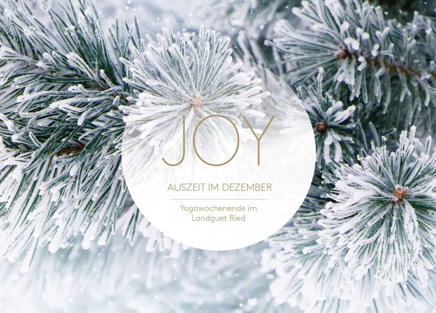 YOGA-AUSZEIT im Dezember | mit Joy Yoga — Landguet Ried, Center for mindful living | Retreatzentrum & Seminarhaus