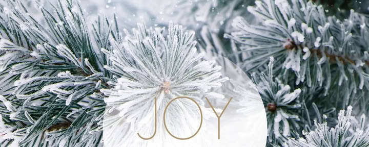 YOGA-AUSZEIT im Dezember | mit Joy Yoga — Landguet Ried, Center for mindful living | Retreatzentrum & Seminarhaus