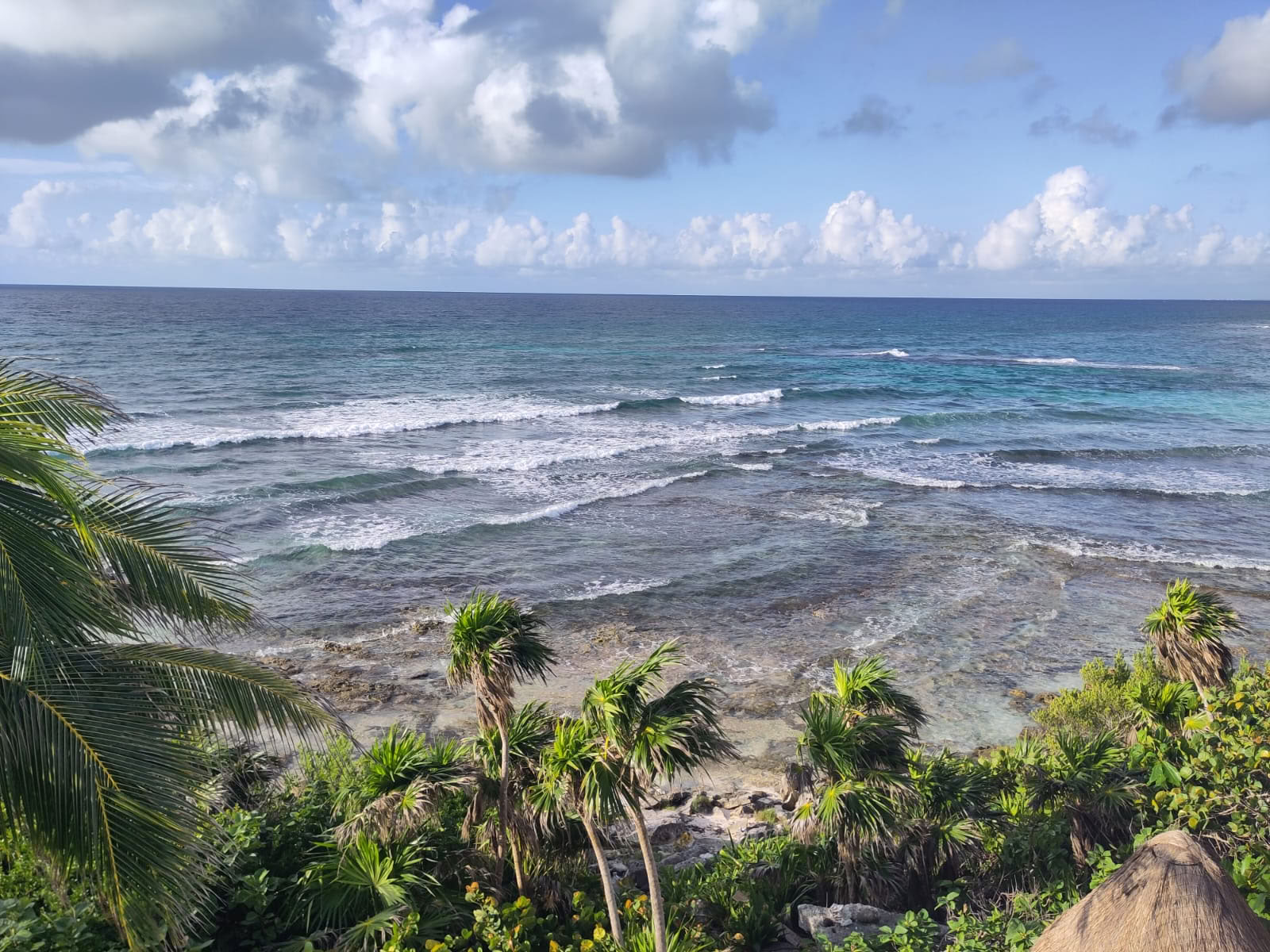 10 Tage Ocean Flow Yoga und Ausflüge in den Maya-Dschungel