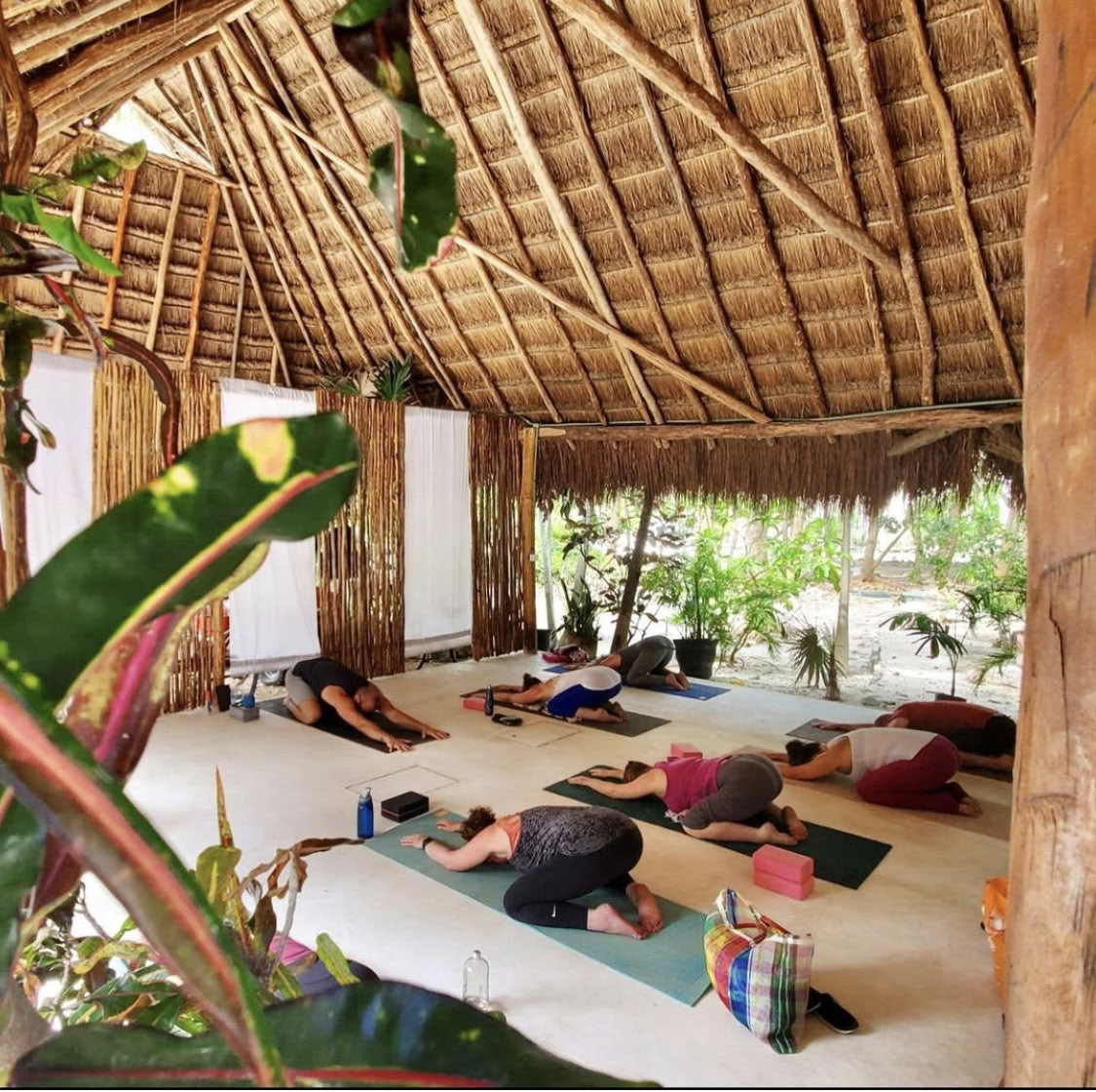 7-tägiges Yoga-Retreat im Paradies in der Riviera Maya