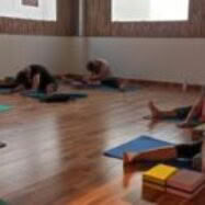 200-Stunden-Hatha-Ashtanga-Vinyasa-Lehrerausbildung in Indien