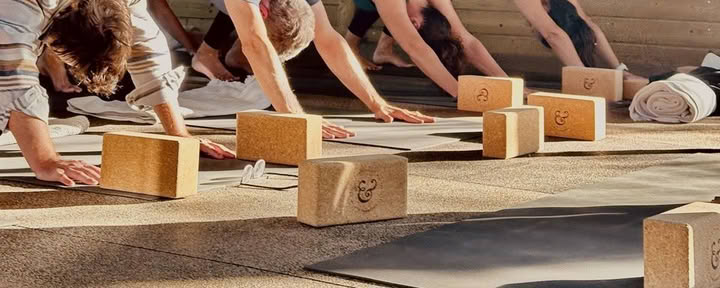 Nicht ganz so ernst gemeintes Yoga-Retreat