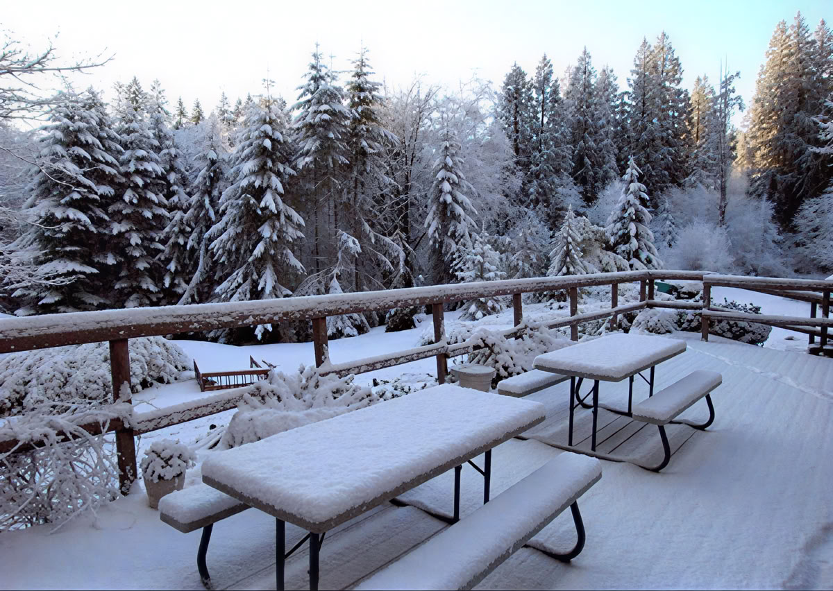 Den Geist beruhigen, das Herz erwecken: Ein Retreat zur Einsichtsmeditation -- LOTTERY RETREAT