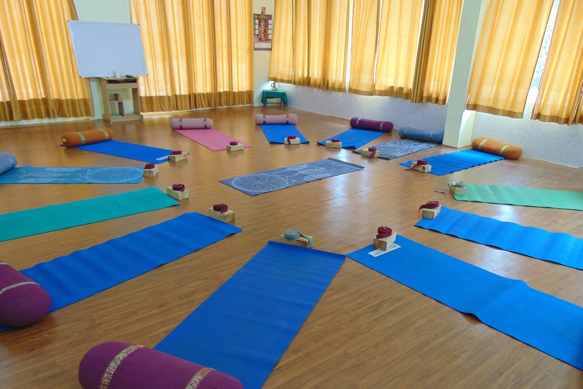 6-tägiger Yin-Yoga-Kurs in Rishikesh