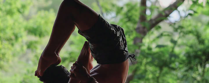 Das Training