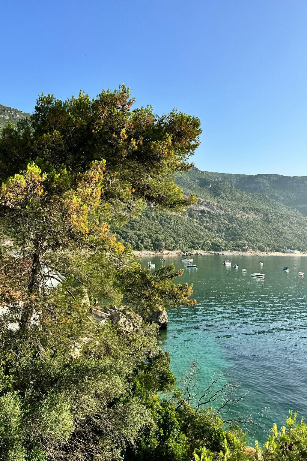 Das Portugal Retreat