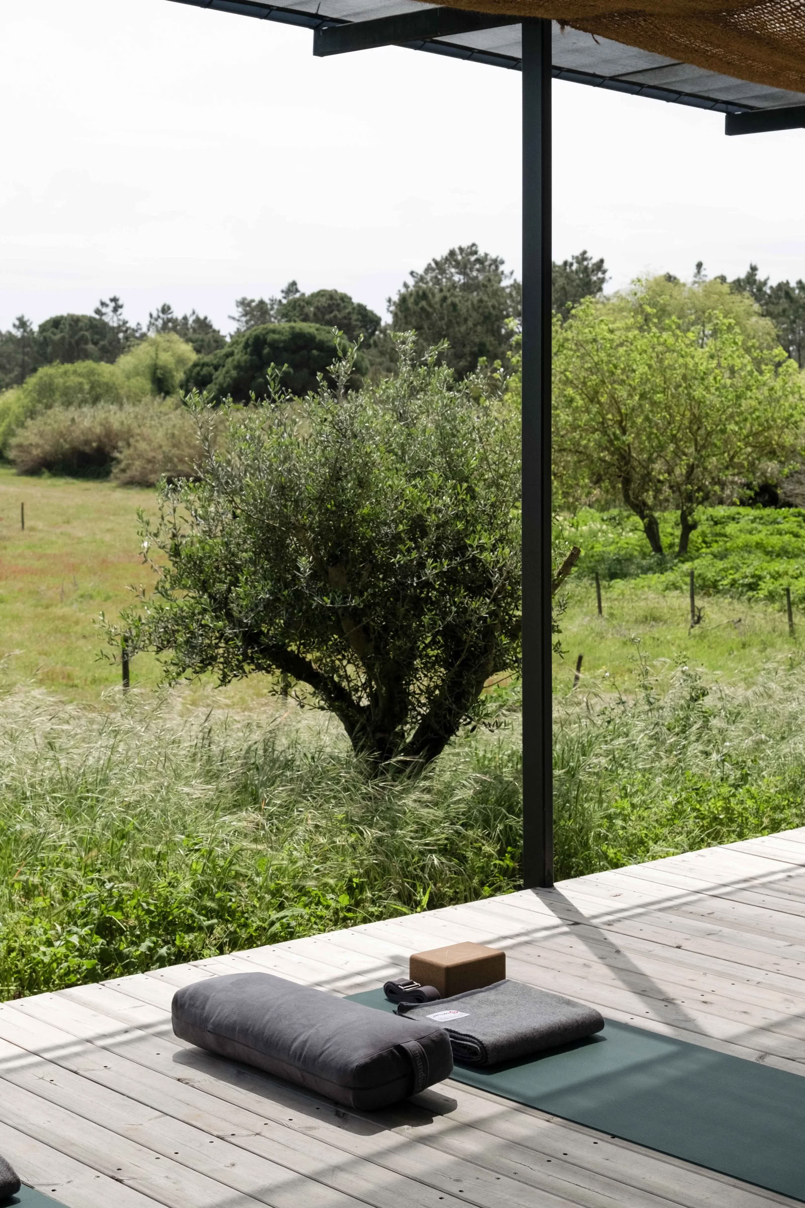 Wurzeln & Aufsteigen: Portugal Yoga Retreat, September 2026