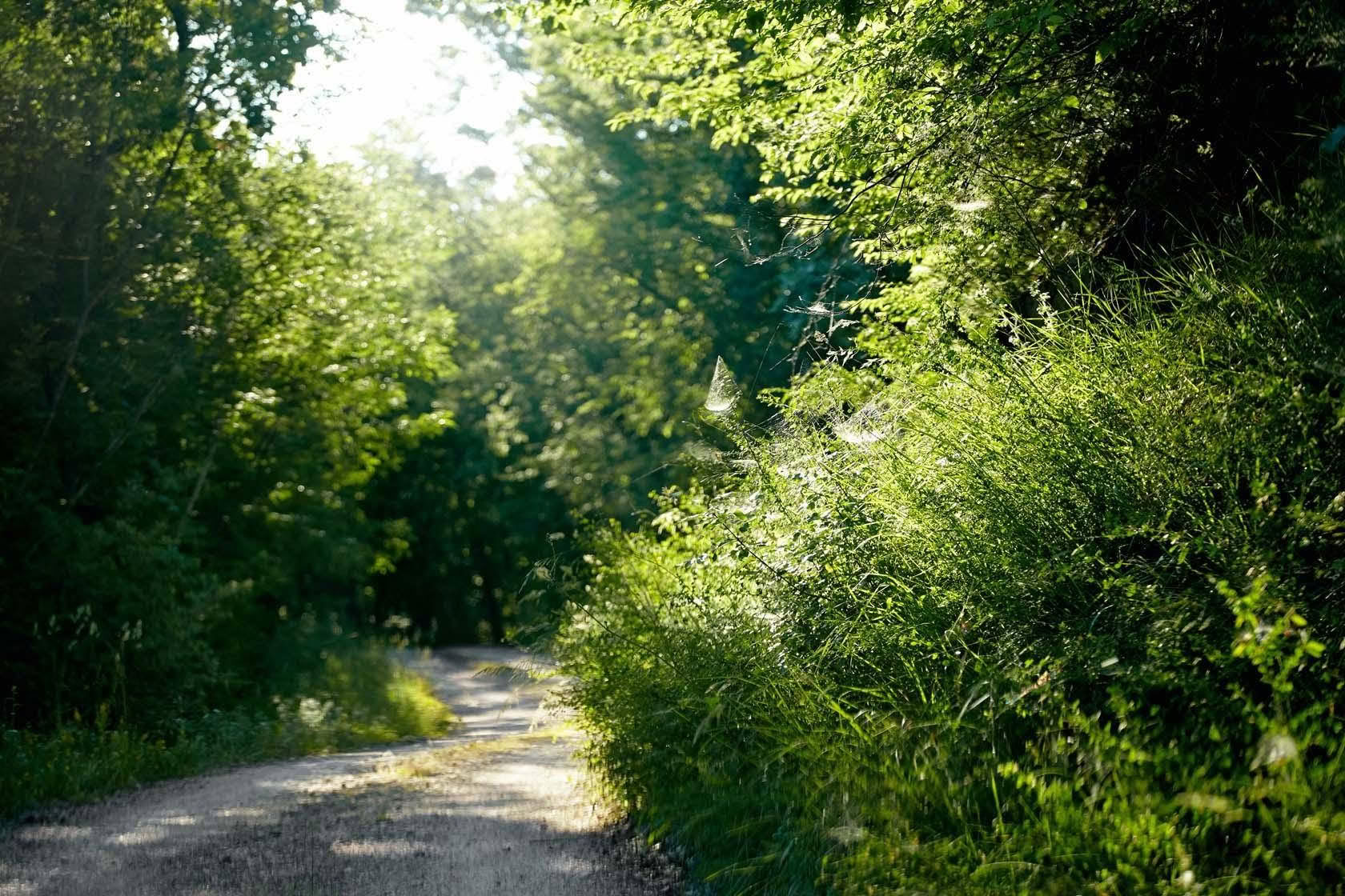 8-tägiges Luxus-Yoga- und Wellness-Retreat in Umbrien, Italien