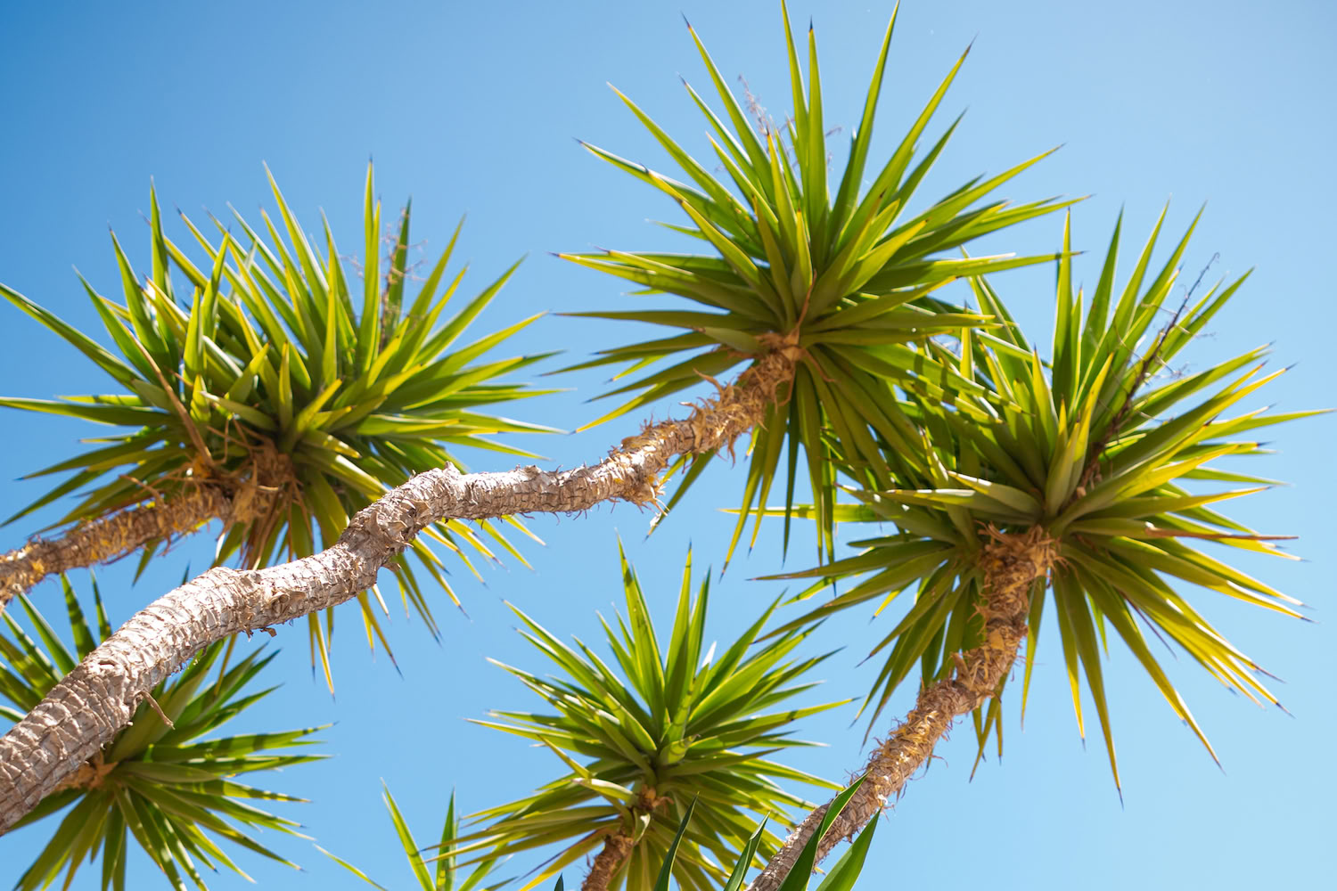 NOR: Yoga-Retreat in Spanien