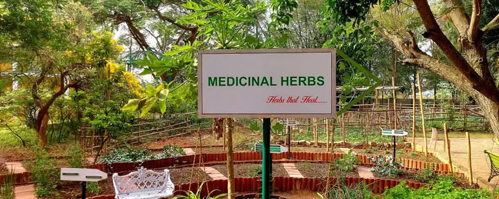 Ayurveda für Geriatrie