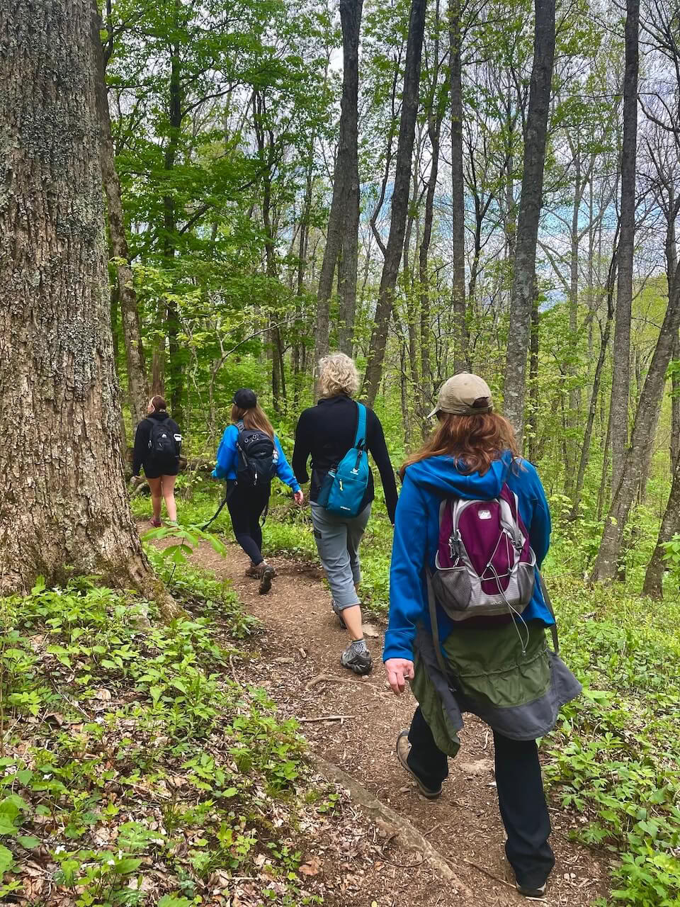 Natur & Glückseligkeit – Yoga Retreat in North Carolina