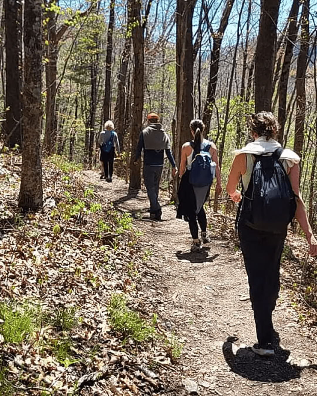 Natur & Glückseligkeit – Yoga Retreat in North Carolina