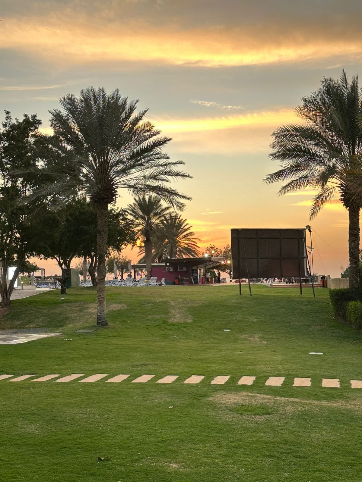 Sonnenuntergangs-Yoga im Jubail Mangrove Park