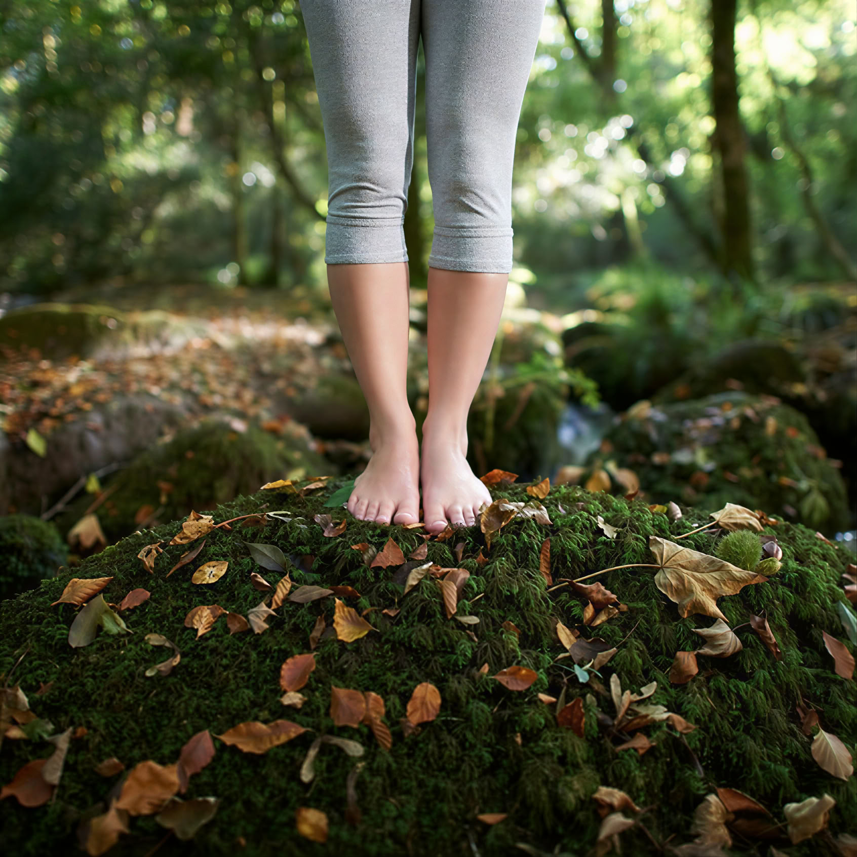 Das Reset-Wald-Retreat