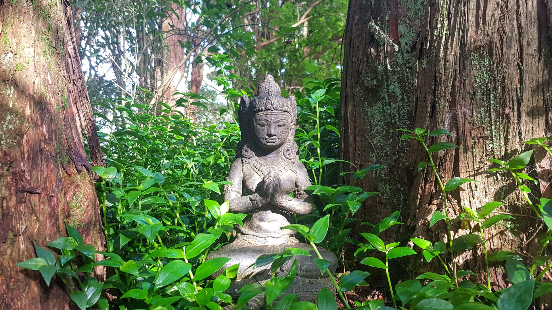 23.–30. Sept. Stilles Retreat mit Radha von Heart Awakening