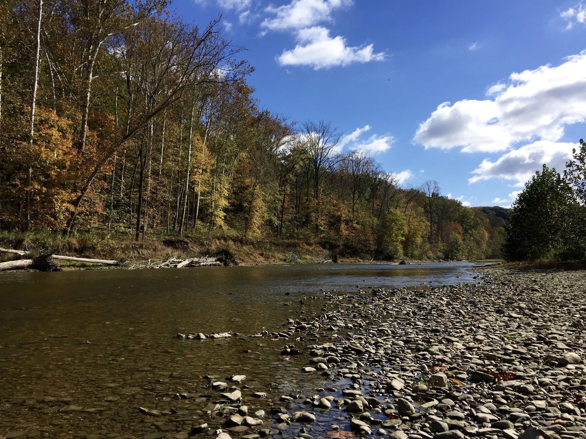 ALLIOM Herbst-Tagundnachtgleiche Yoga 2026 — Sugar Creek Retreat