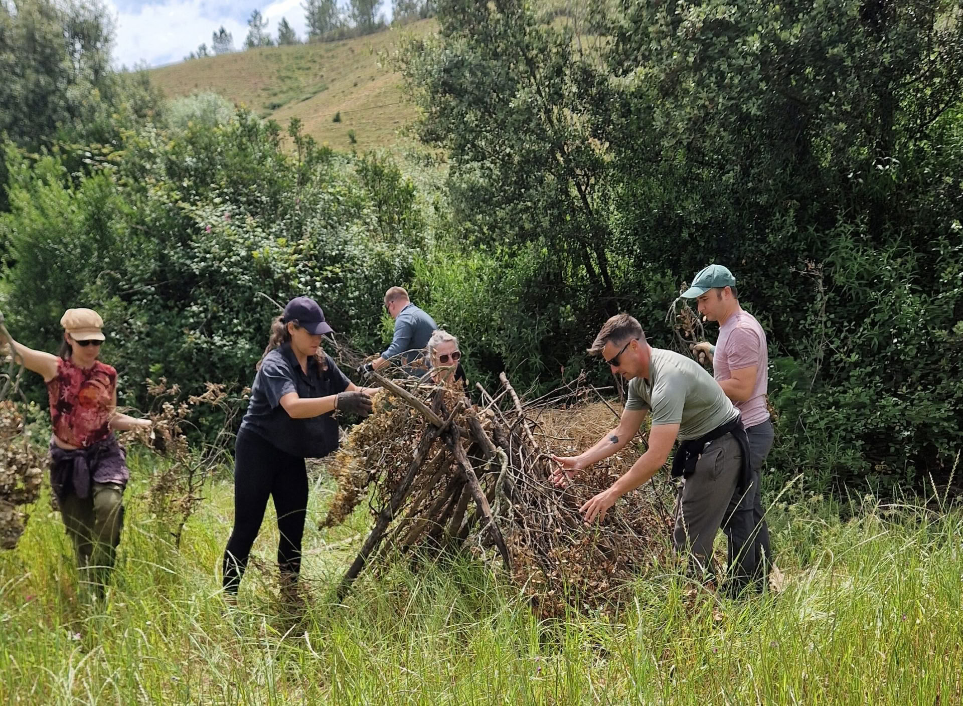 Überlebensgrundlagen in der Wildnis