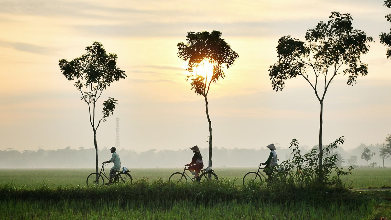 Bereicherndes Yoga-Retreat & Wandern in Vietnam 2026