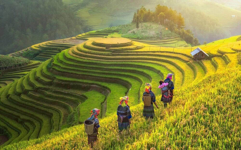 Bereicherndes Yoga-Retreat & Wandern in Vietnam 2026