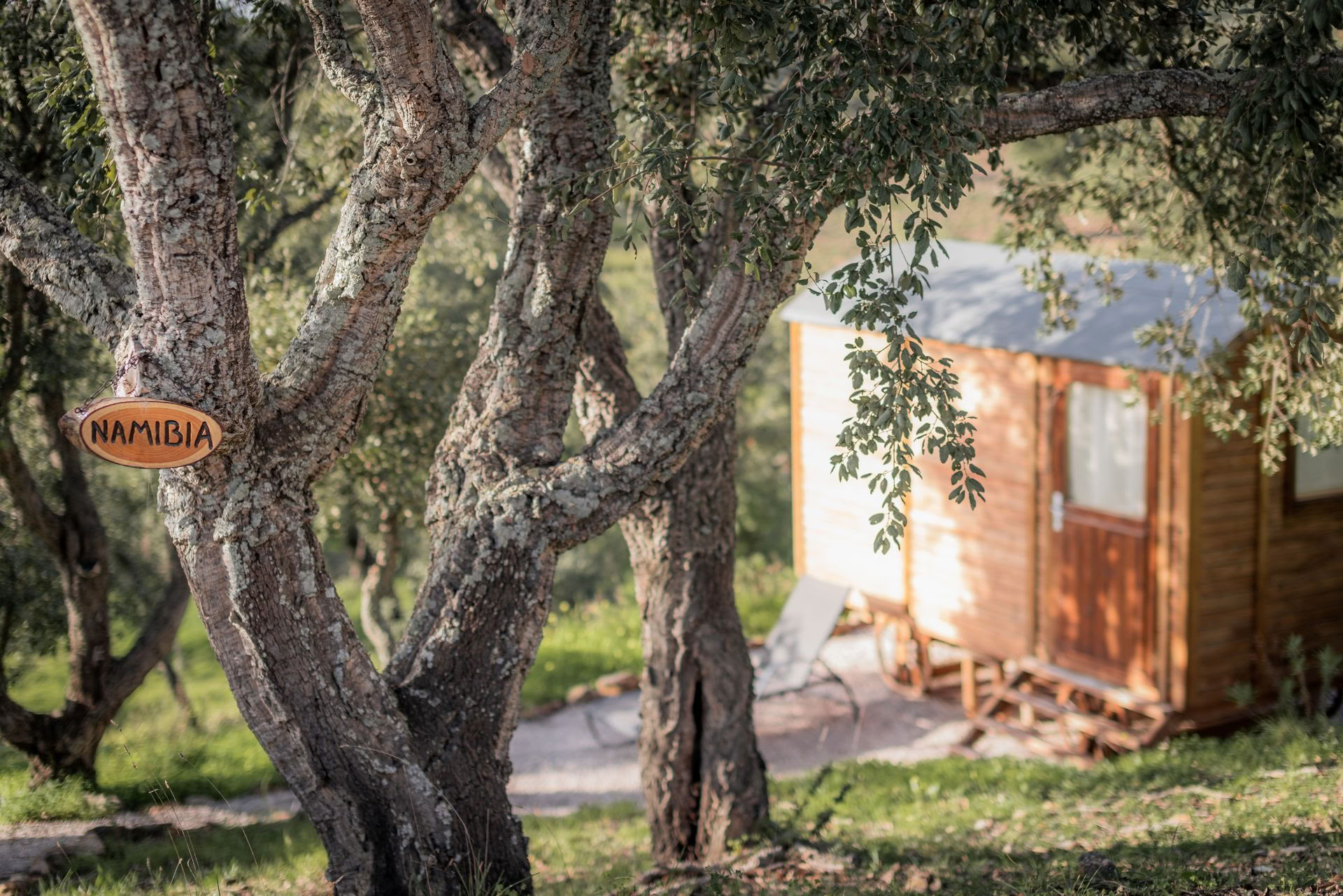 Das wilde und freie Retreat