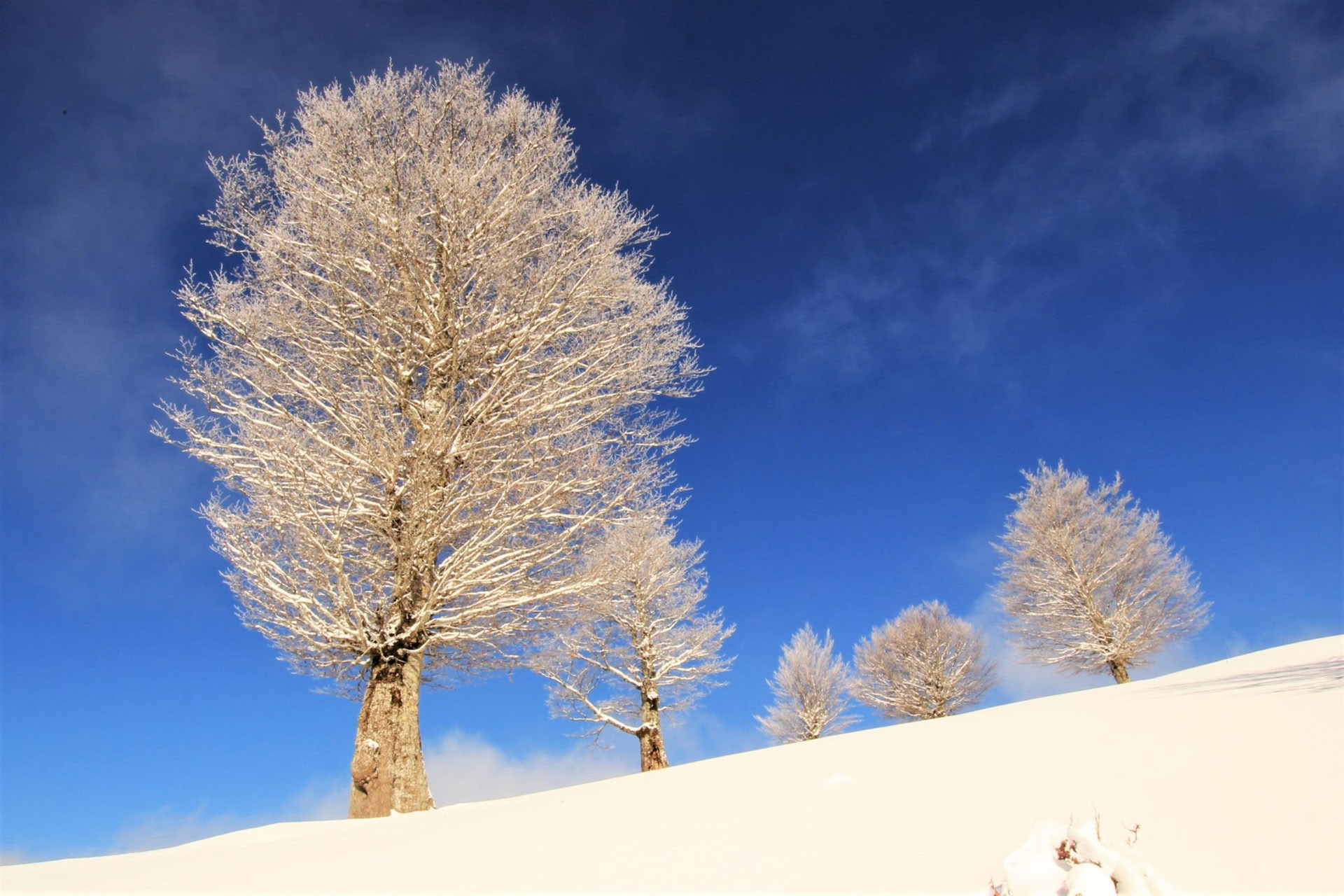 7-tägiger Winteraktivurlaub in Montenegro