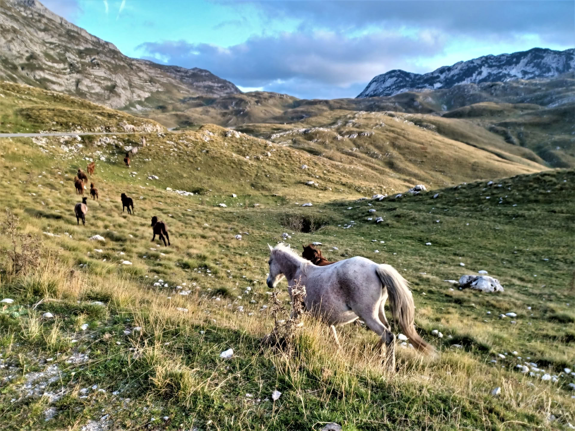 7-tägiger Bergwanderurlaub in Montenegro