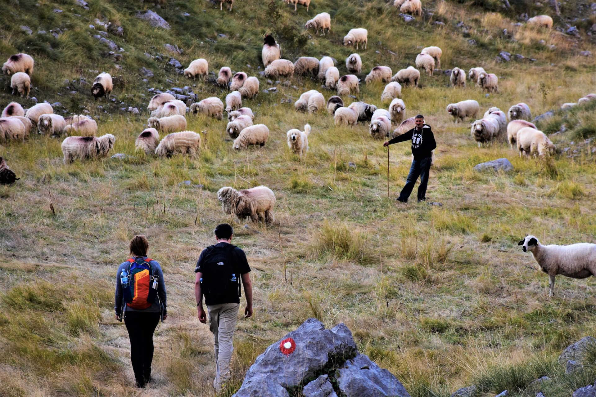 7-tägiger Bergwanderurlaub in Montenegro