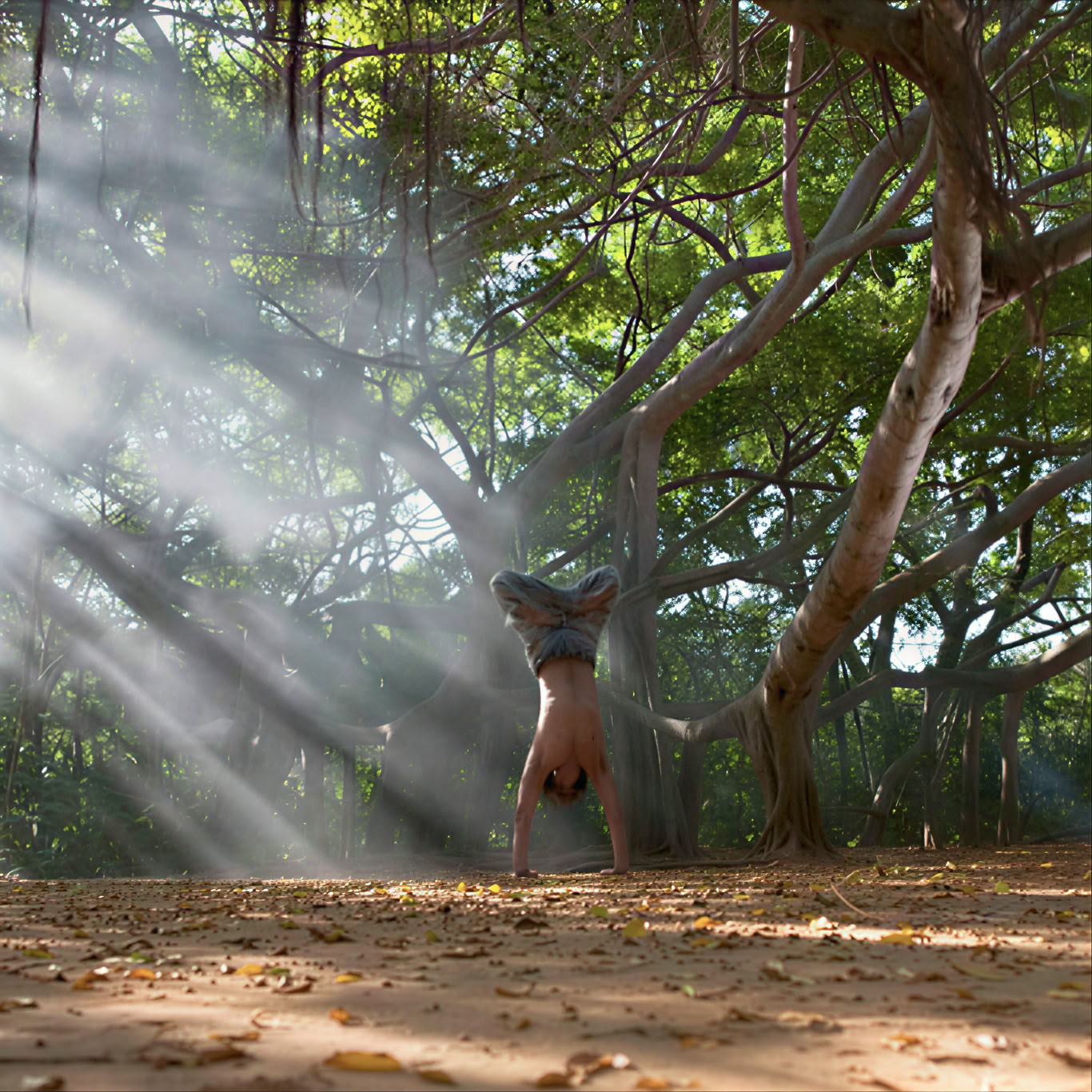 Mick Barnes - 8 Glieder des Hatha-Yoga