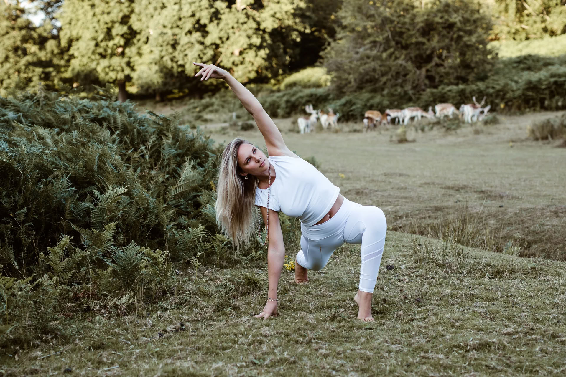 Vinyasa Flow + Yin Yoga (Alle Levels)