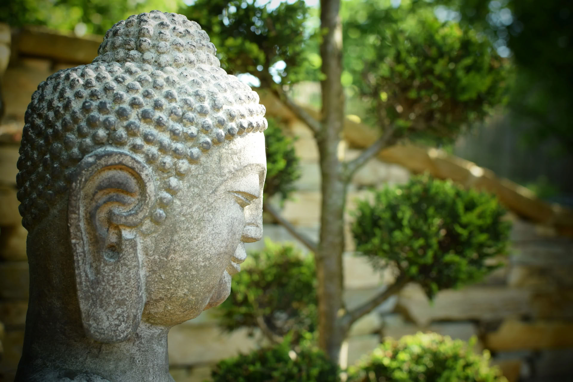 Vipassana (Einsichtsmeditation)