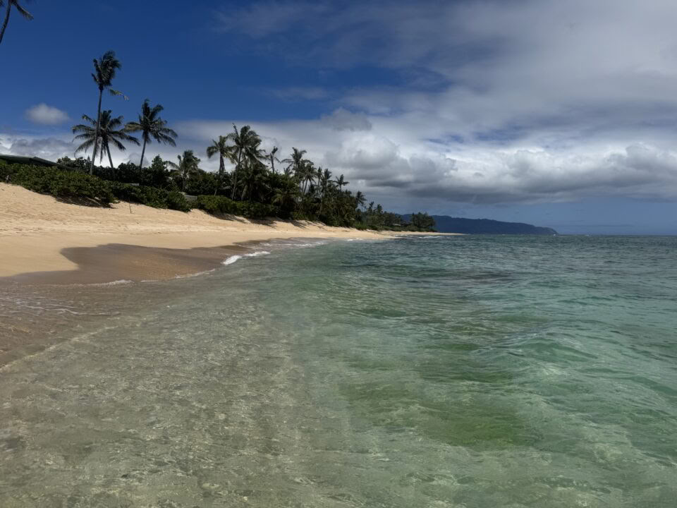 Yoga-Retreat-Paket für Nicht-Surfer