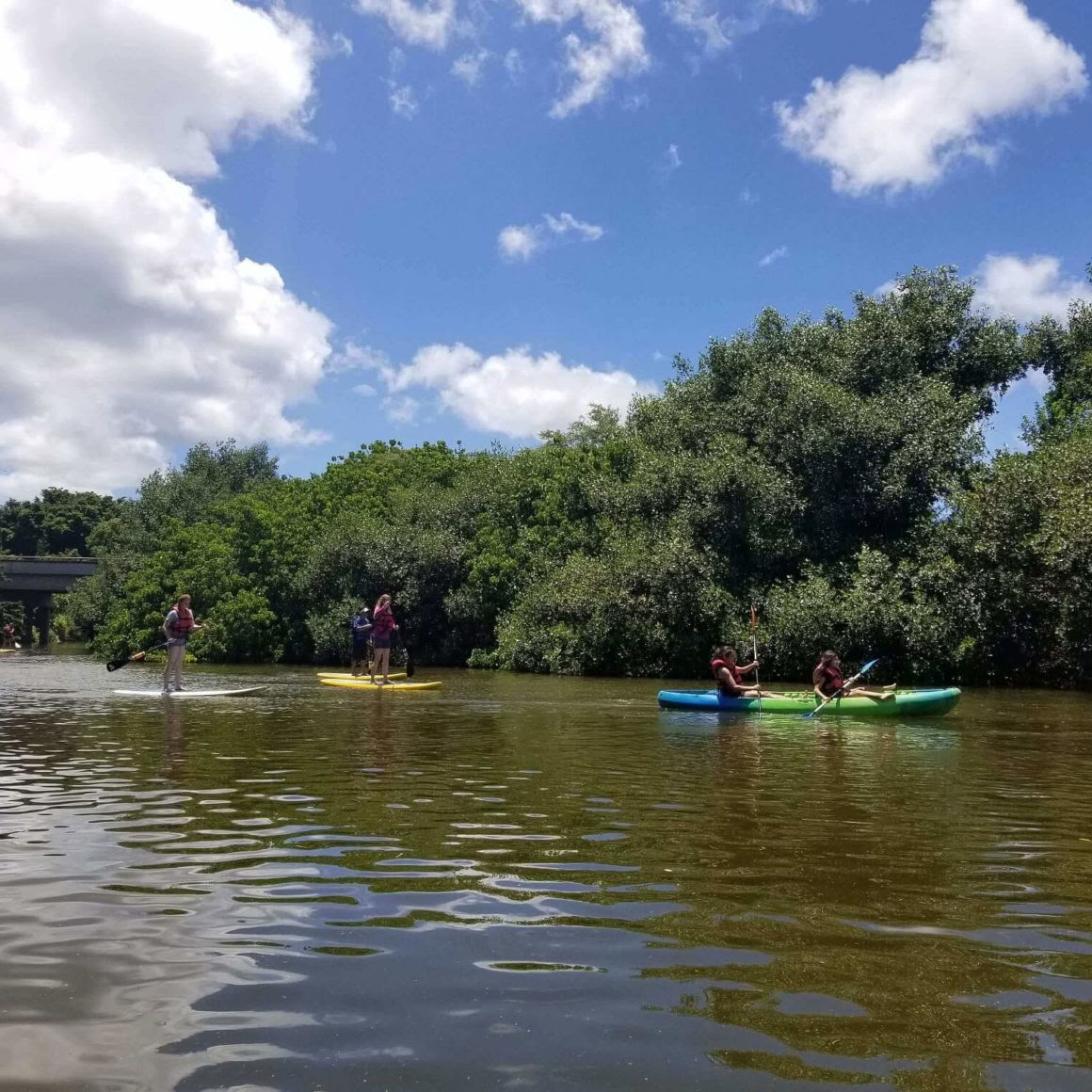 Halbprivate SUP-Stunden