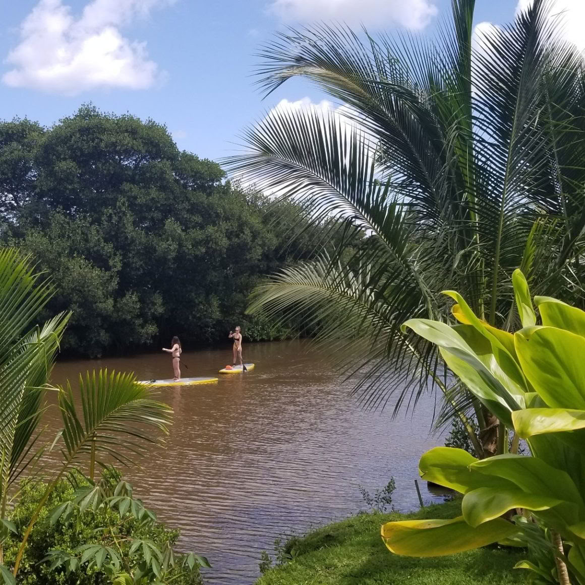 Halbprivate SUP-Stunden