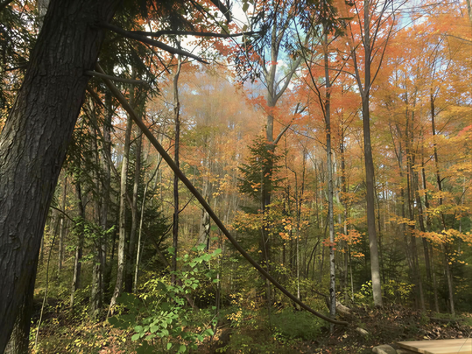 Yoga in der Natur auf eigene Faust
